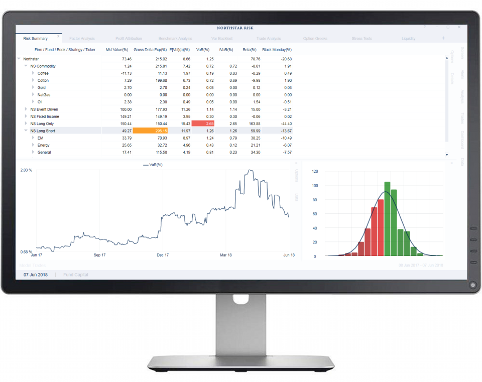 screenshot of Northstar Risk/Performance Software